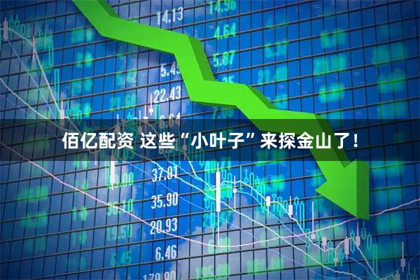 佰亿配资 这些“小叶子”来探金山了！