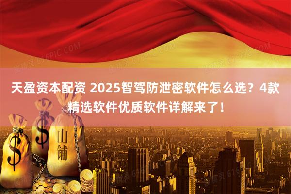 天盈资本配资 2025智驾防泄密软件怎么选？4款精选软件优质软件详解来了！