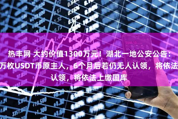 热丰网 大约价值1300万元!湖北一地公安公告:寻找190万枚USDT币原主人,6个月后若仍无人认领,将依法上缴国库
