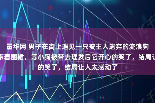 量华网 男子在街上遇见一只被主人遗弃的流浪狗，脖子上还带着围裙，等小狗被带去理发后它开心的笑了，结局让人太感动了