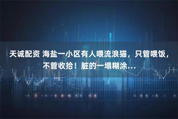 天诚配资 海盐一小区有人喂流浪猫，只管喂饭，不管收拾！脏的一塌糊涂…